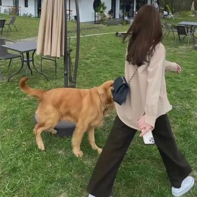 警界黑幕